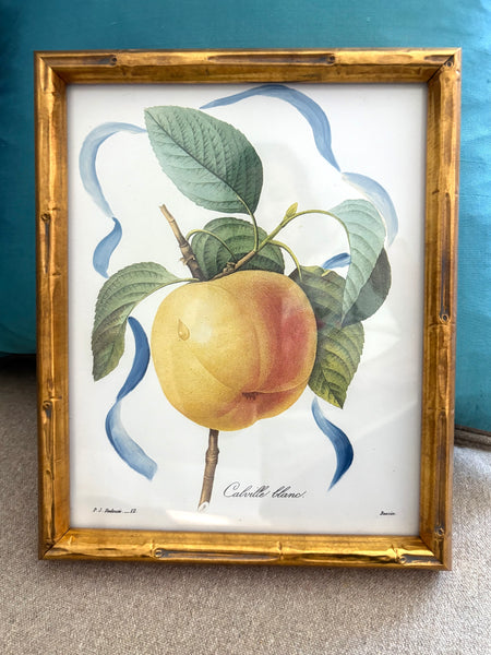Framed Apple botanical 8x10"