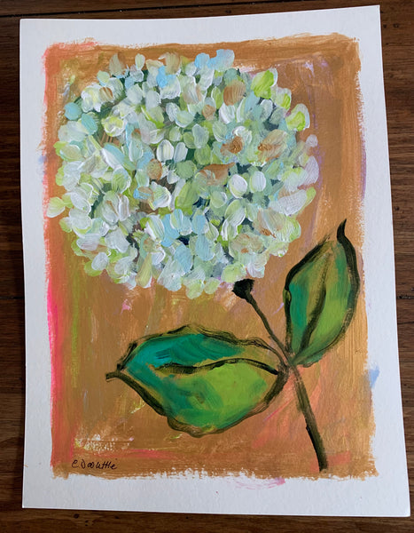 9x12 White Hydrangea On Paper