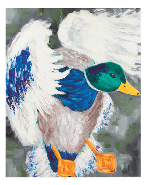 Flying Duck 11 x 14